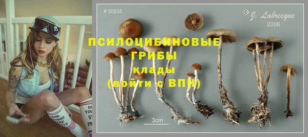 гашик Медвежьегорск