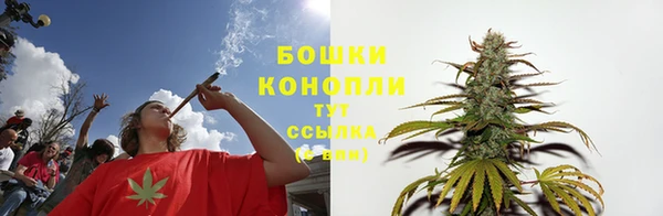гашик Медвежьегорск